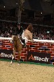 Puissance - 00022